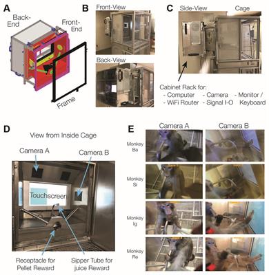 A Kiosk Station for the Assessment of Multiple Cognitive Domains and Cognitive Enrichment of Monkeys